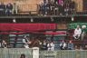 Palio Straordinario: la fotogallery delle Prove di Addestramento Mattutine